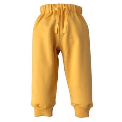 Трикотажні дитячі спортивні штани від 0 до 24 місяців гірчичні trousers002_56 фото