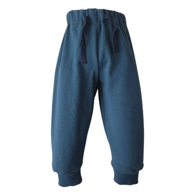 Трикотажні дитячі спортивні штани від 0 до 24 місяців сині trousers004_56 фото
